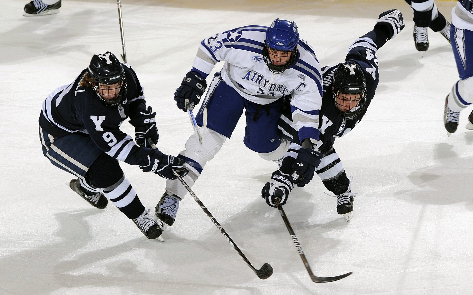 凯恩·瑞安:一位迅速崛起的全黑队核心球员,凯恩是哪队的